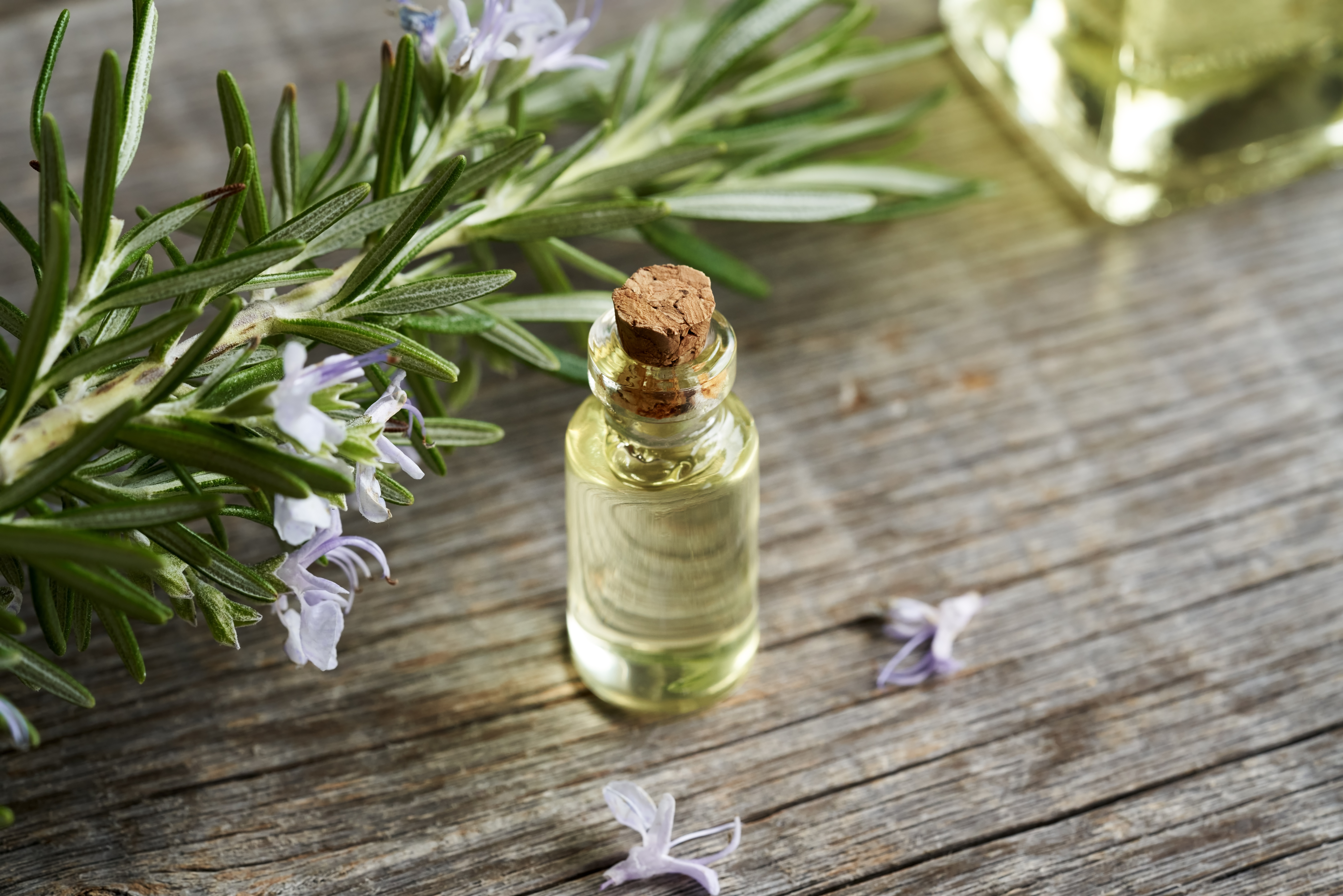 A bottle of rosemary essential oil with rosemary twigs and flowers